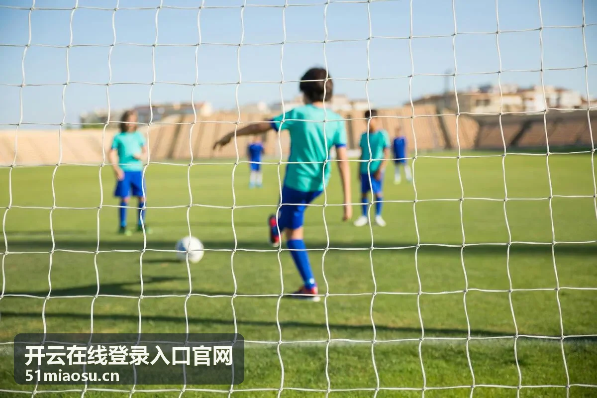 开云在线登录入口官网登录步骤详细说明