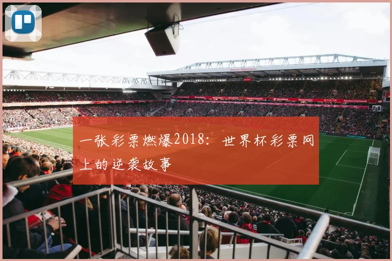 一张彩票燃爆2018:世界杯彩票网上的逆袭故事