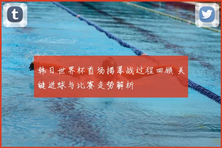 韩日世界杯首场揭幕战过程回顾 关键进球与比赛走势解析